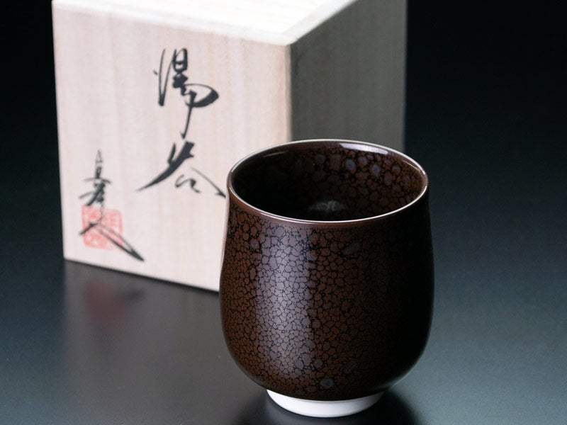 Japanese Teacup (Yunomi) "Ryurin Yuteki Tenmoku" - Shinemon Kiln, Arita Ware