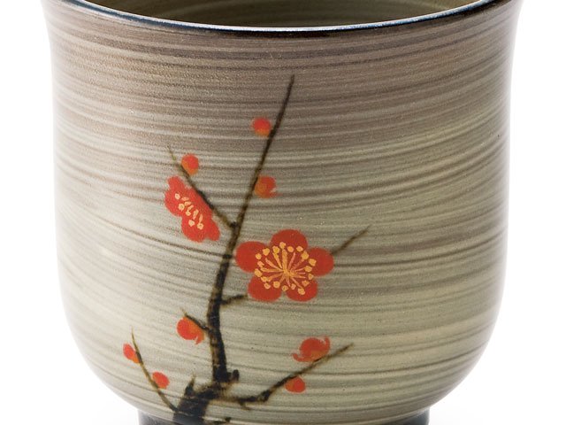 Gagyu Kiln Pair of Yunomi Japanese Teacups - Red and White Plum Blossoms