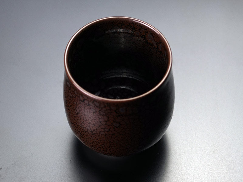 Japanese Teacup (Yunomi) "Ryurin Yuteki Tenmoku" - Shinemon Kiln, Arita Ware
