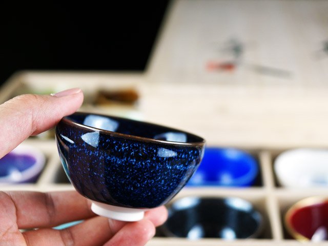 Ensemble de tasses à saké ultime (16 couleurs)